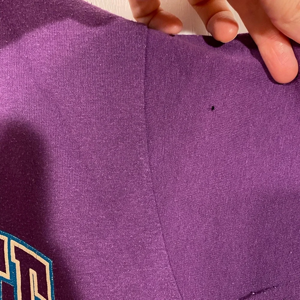 1988 Charlotte Hornets NBA Inaugural Season Tee USA MADE Vintage 80s Purple L